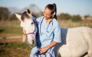 Comment faire pour prendre soin de la santé de son cheval ?