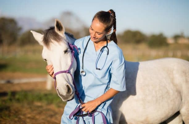 Comment faire pour prendre soin de la santé de son cheval ?