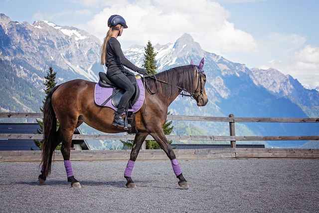 Quelles musiques écouter pendant un cours d’équitation ?