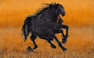 La symbolique du cheval : force, liberté et endurance