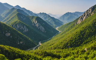 Balades équestres et parcs naturels en Corée du Sud